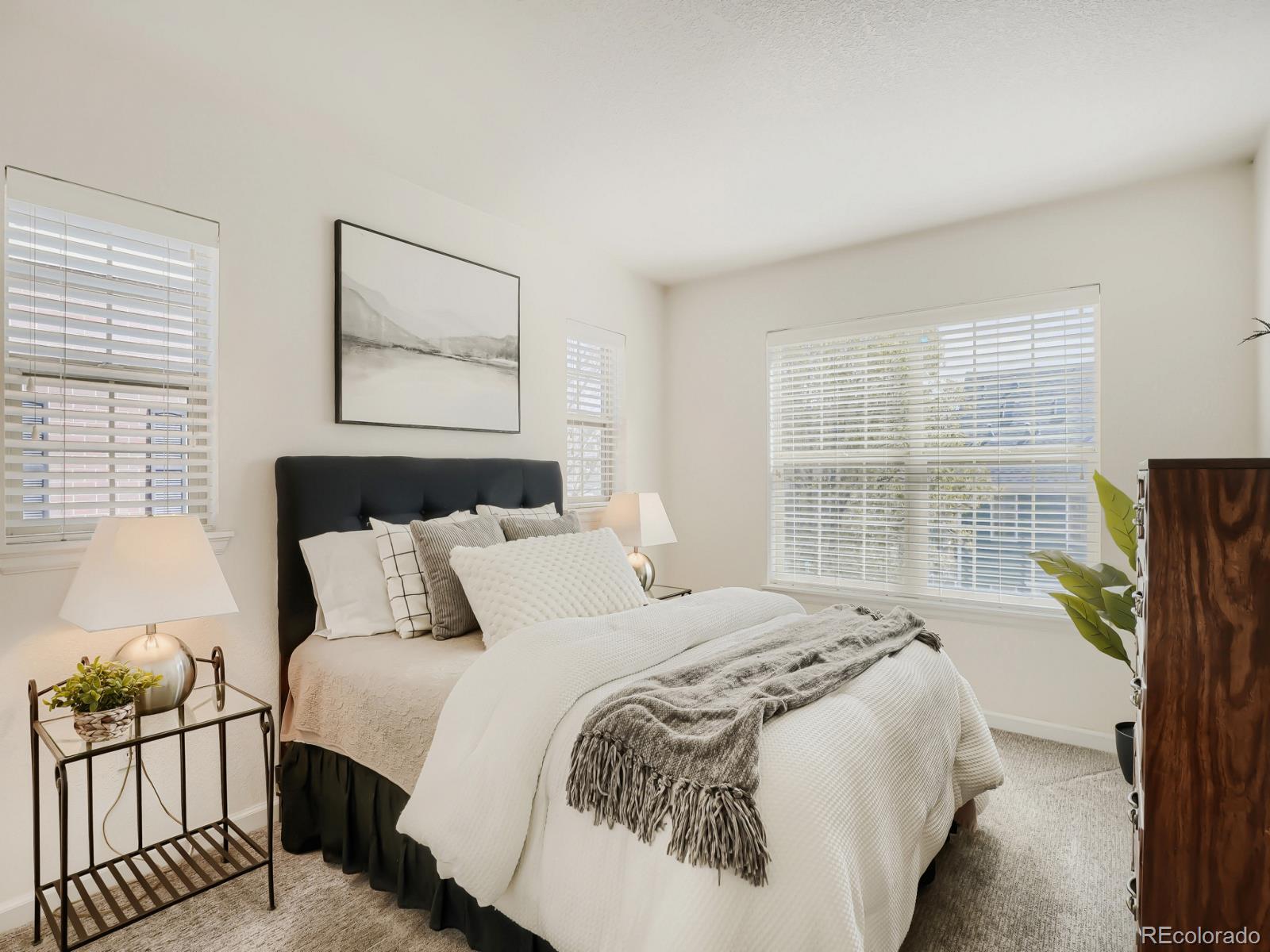 MLS Image #21 for 7970 e 29th avenue ,denver, Colorado