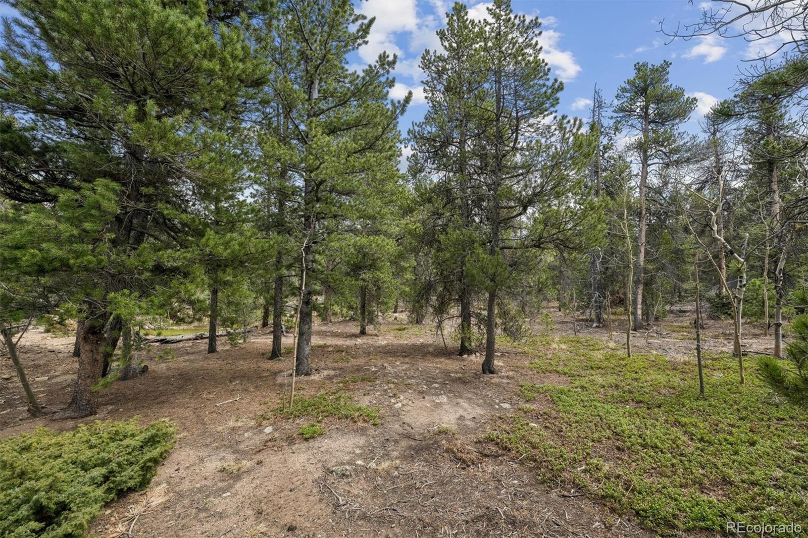 MLS Image #37 for 1387  lodge pole drive,black hawk, Colorado