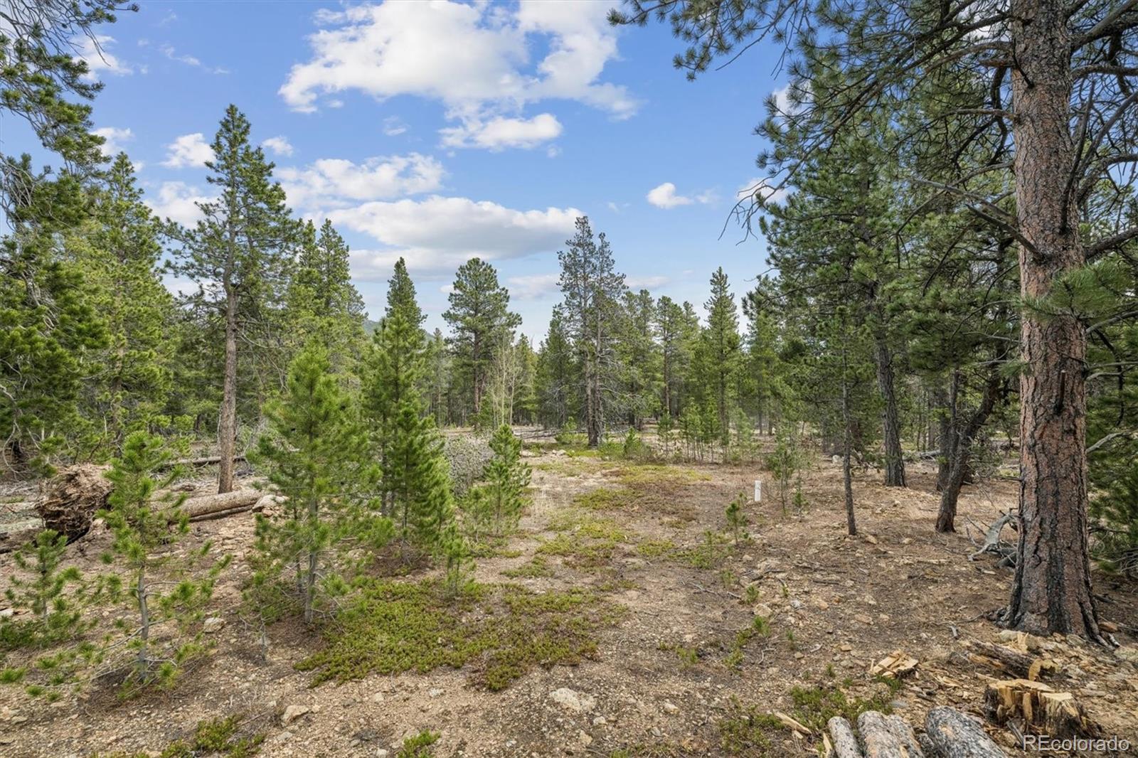 MLS Image #39 for 1387  lodge pole drive,black hawk, Colorado