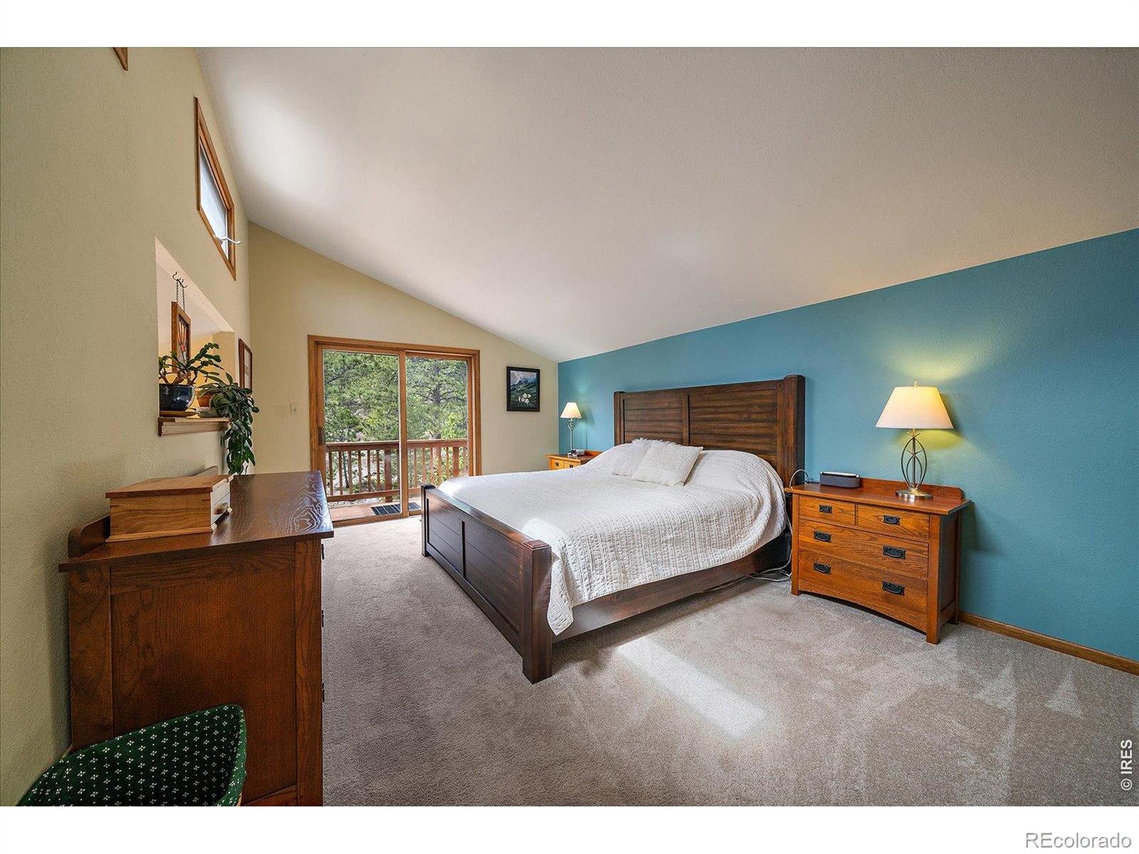 MLS Image #10 for 902  rock lake road,ward, Colorado