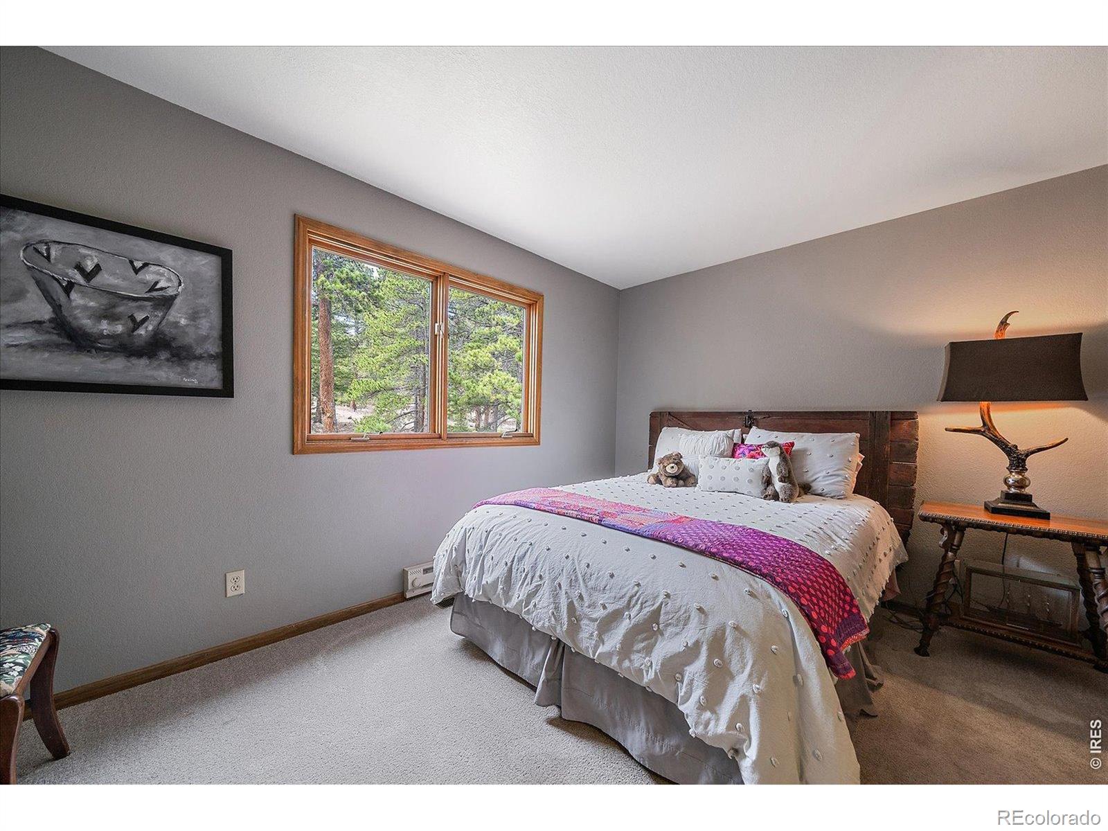 MLS Image #13 for 902  rock lake road,ward, Colorado