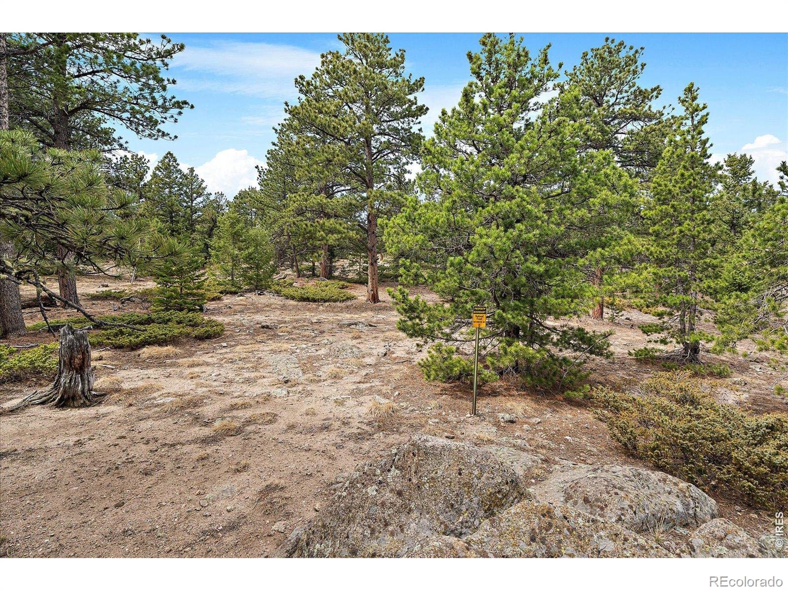 MLS Image #22 for 902  rock lake road,ward, Colorado