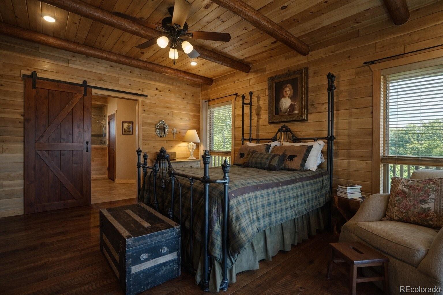 MLS Image #20 for 1325  primavera pl ,la veta, Colorado
