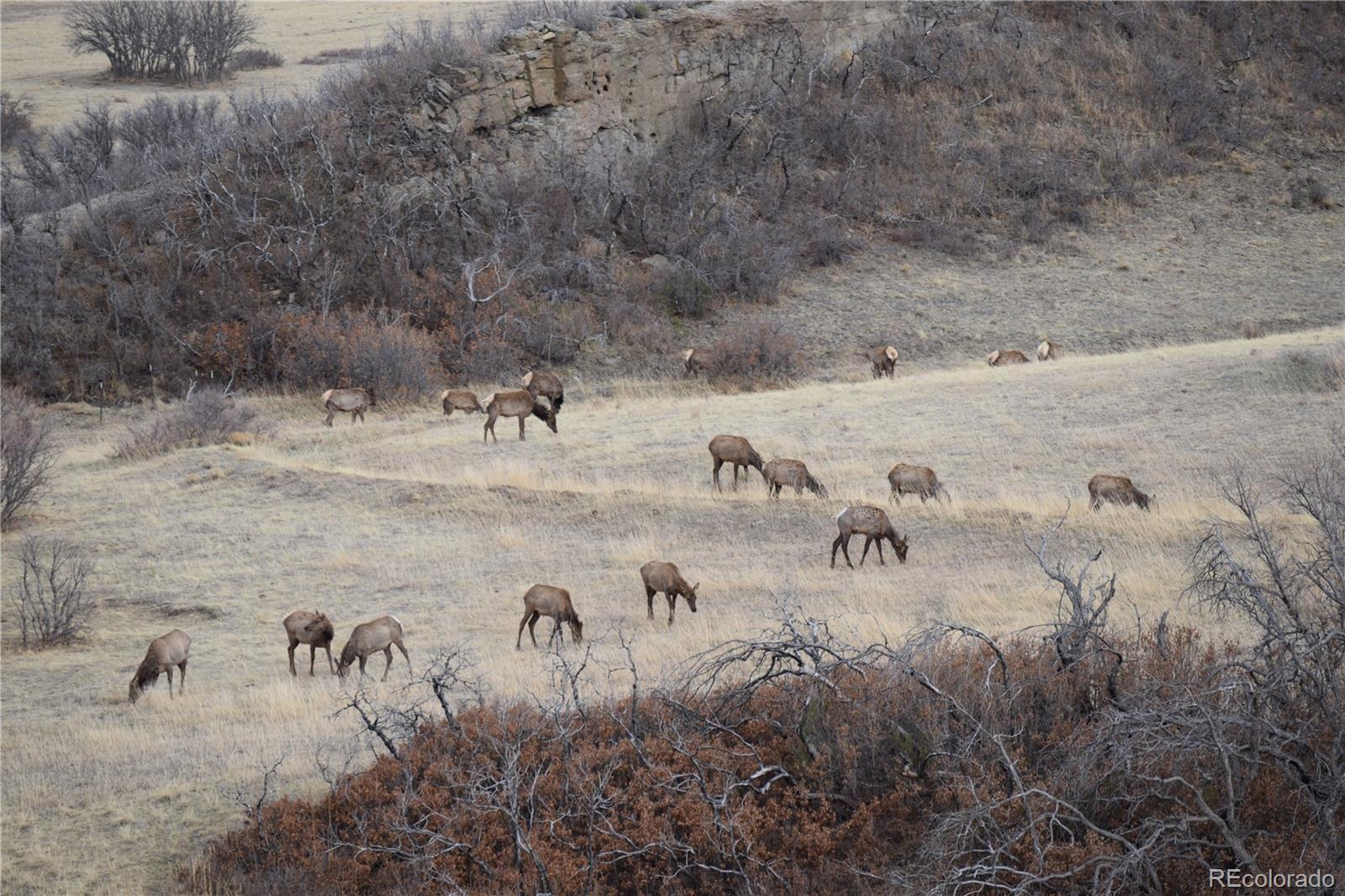 MLS Image #47 for 1325  primavera pl ,la veta, Colorado