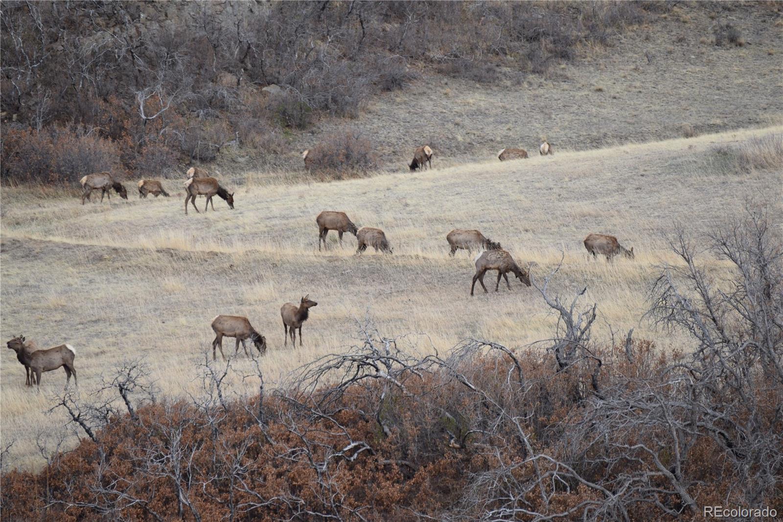 MLS Image #48 for 1325  primavera pl ,la veta, Colorado