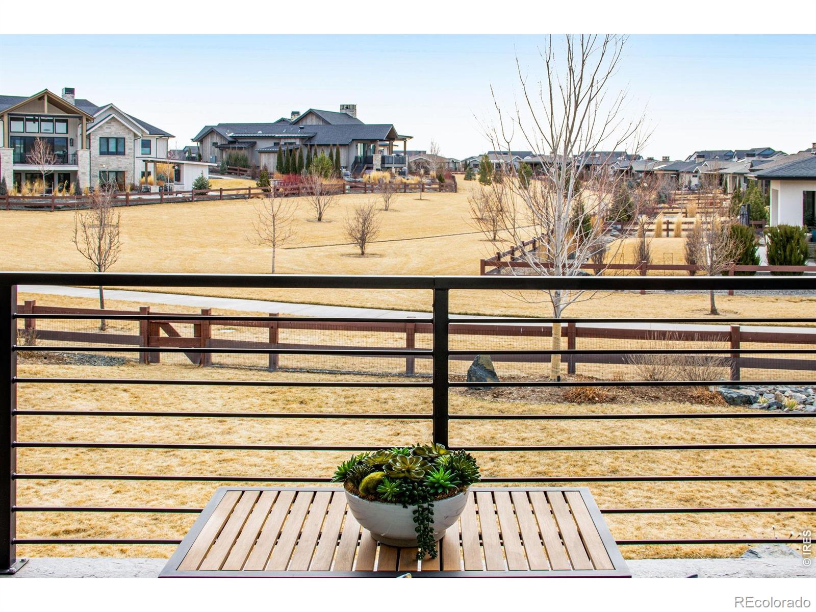 MLS Image #21 for 4186  prestwich court,timnath, Colorado