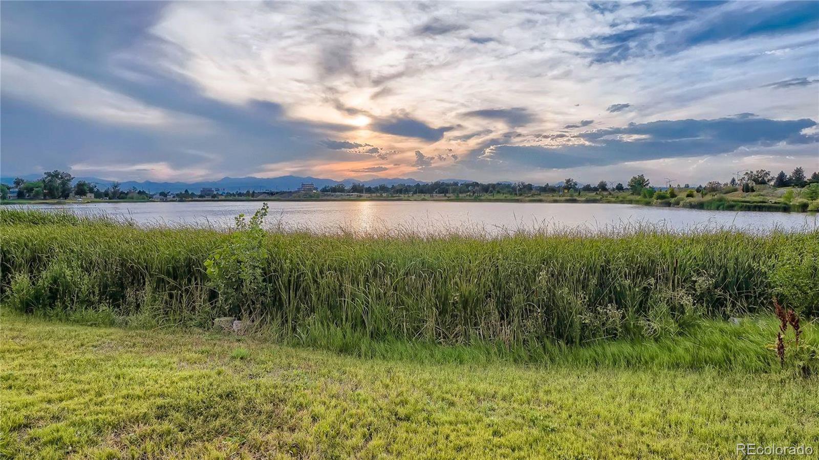 MLS Image #41 for 4975  fenton street,denver, Colorado