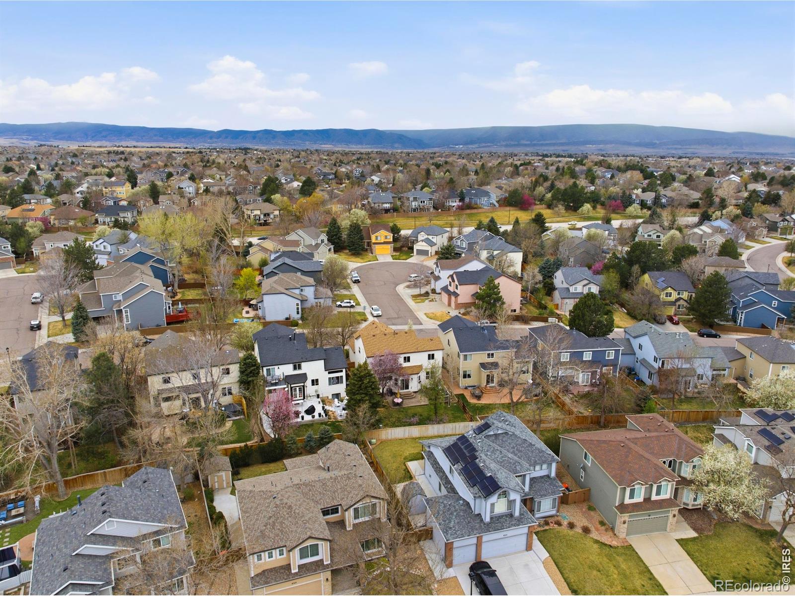 MLS Image #38 for 9734  red oakes drive,highlands ranch, Colorado