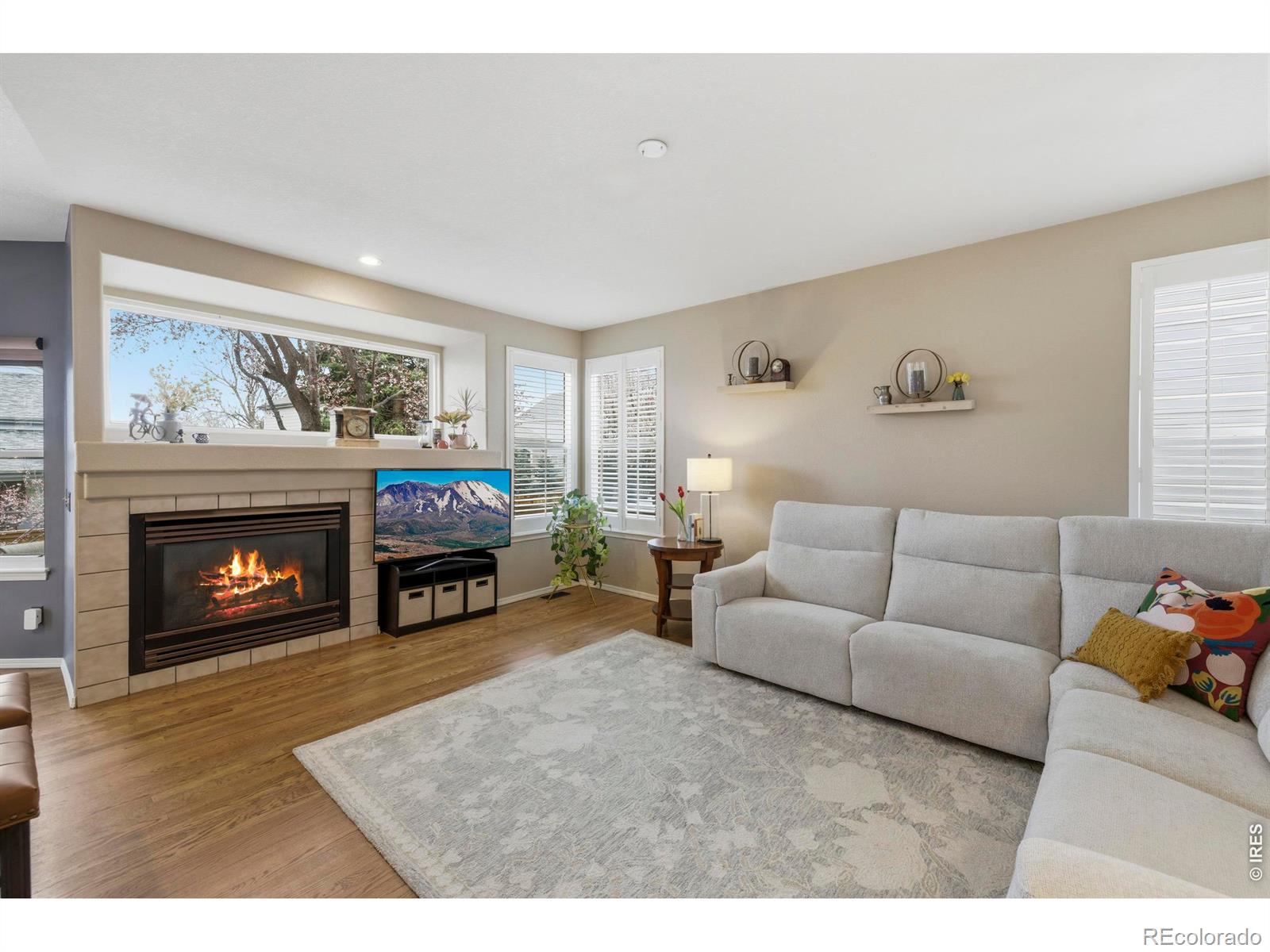 MLS Image #7 for 9734  red oakes drive,highlands ranch, Colorado