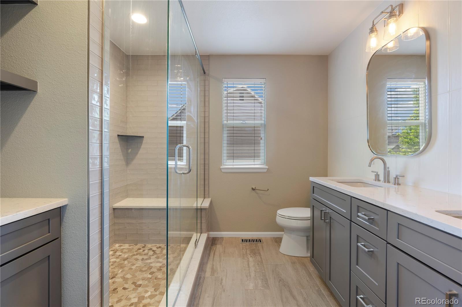 MLS Image #12 for 21341  white ash court,parker, Colorado
