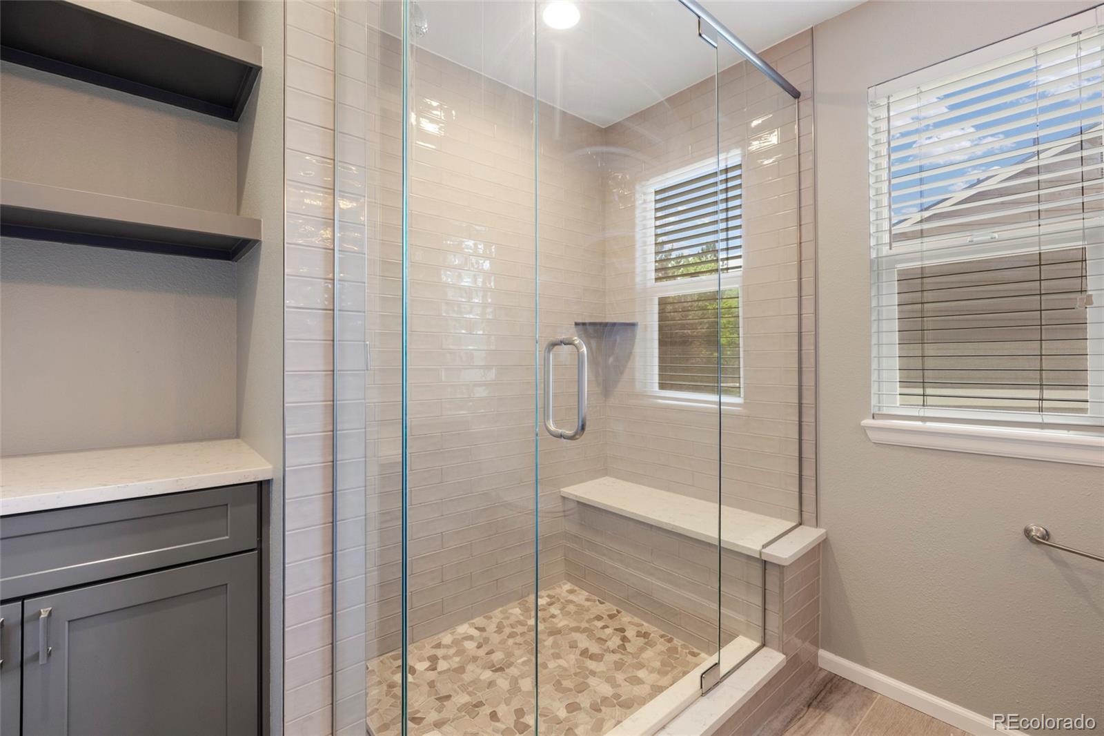 MLS Image #13 for 21341  white ash court,parker, Colorado