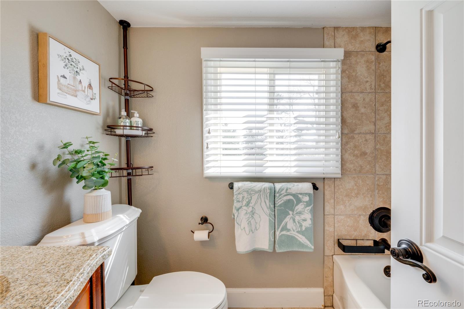 MLS Image #34 for 830  noble court,golden, Colorado
