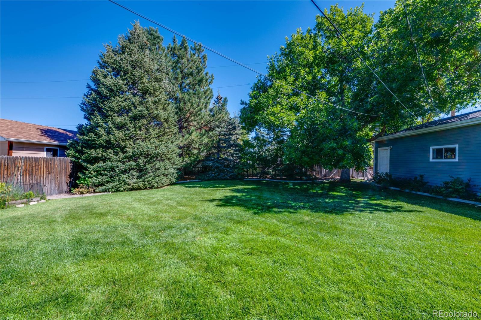 MLS Image #49 for 830  noble court,golden, Colorado