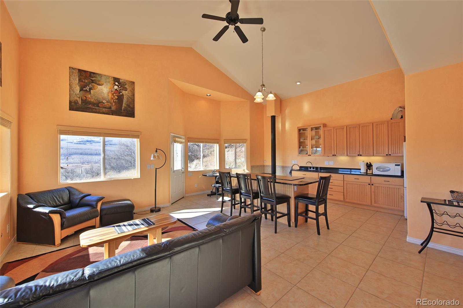 MLS Image #4 for 67912  vega vista drive,collbran, Colorado
