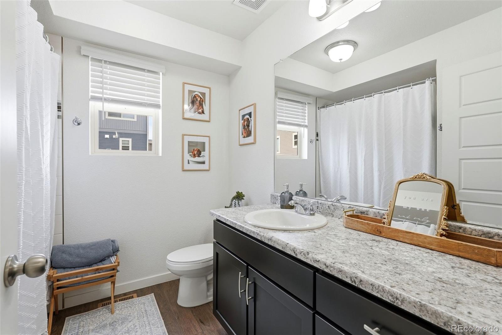 MLS Image #15 for 9541  timberlake loop,colorado springs, Colorado