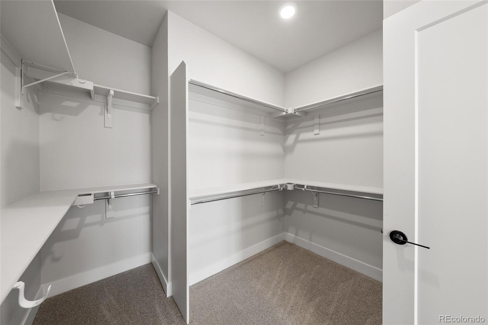 MLS Image #21 for 7321  goldbloom lane,littleton, Colorado