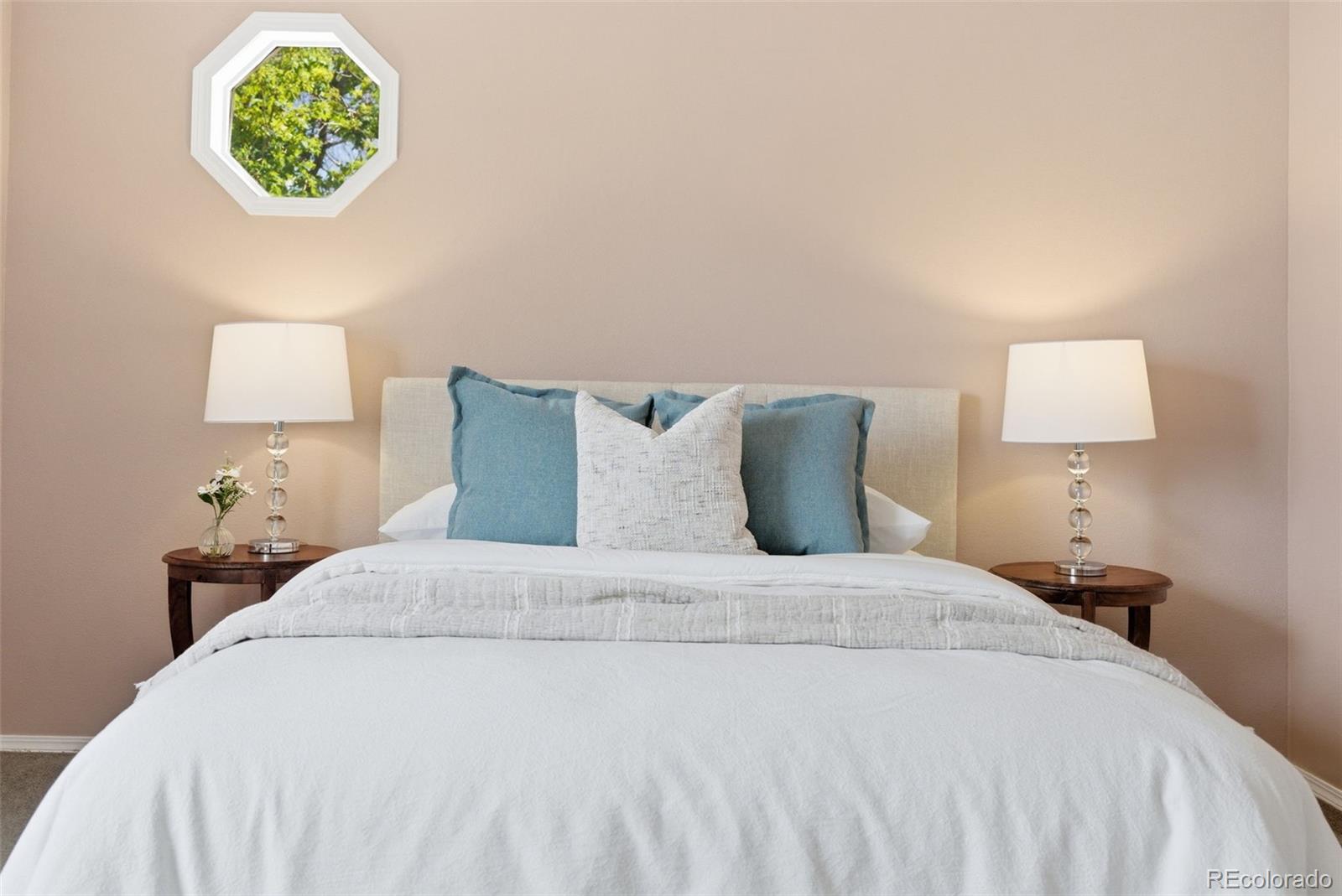 MLS Image #20 for 2013  mount sneffels street,longmont, Colorado