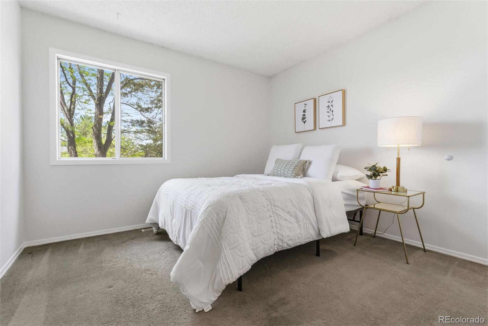 MLS Image #26 for 2013  mount sneffels street,longmont, Colorado