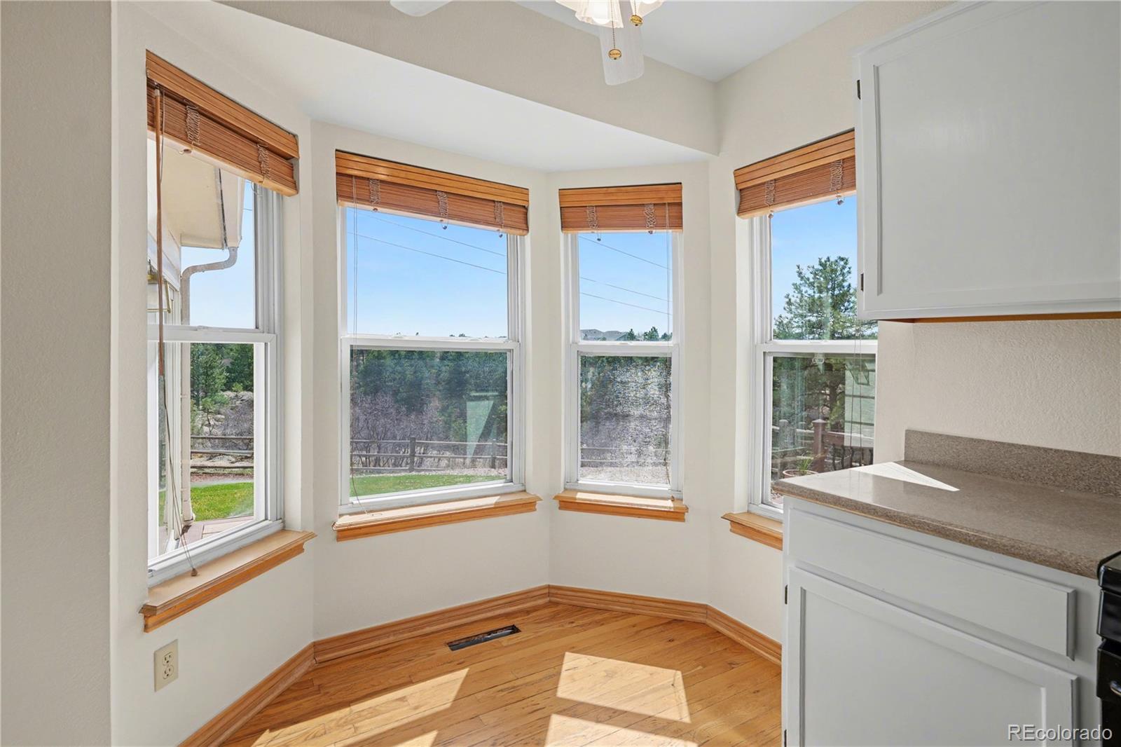 MLS Image #13 for 1010 n tabor drive,castle rock, Colorado