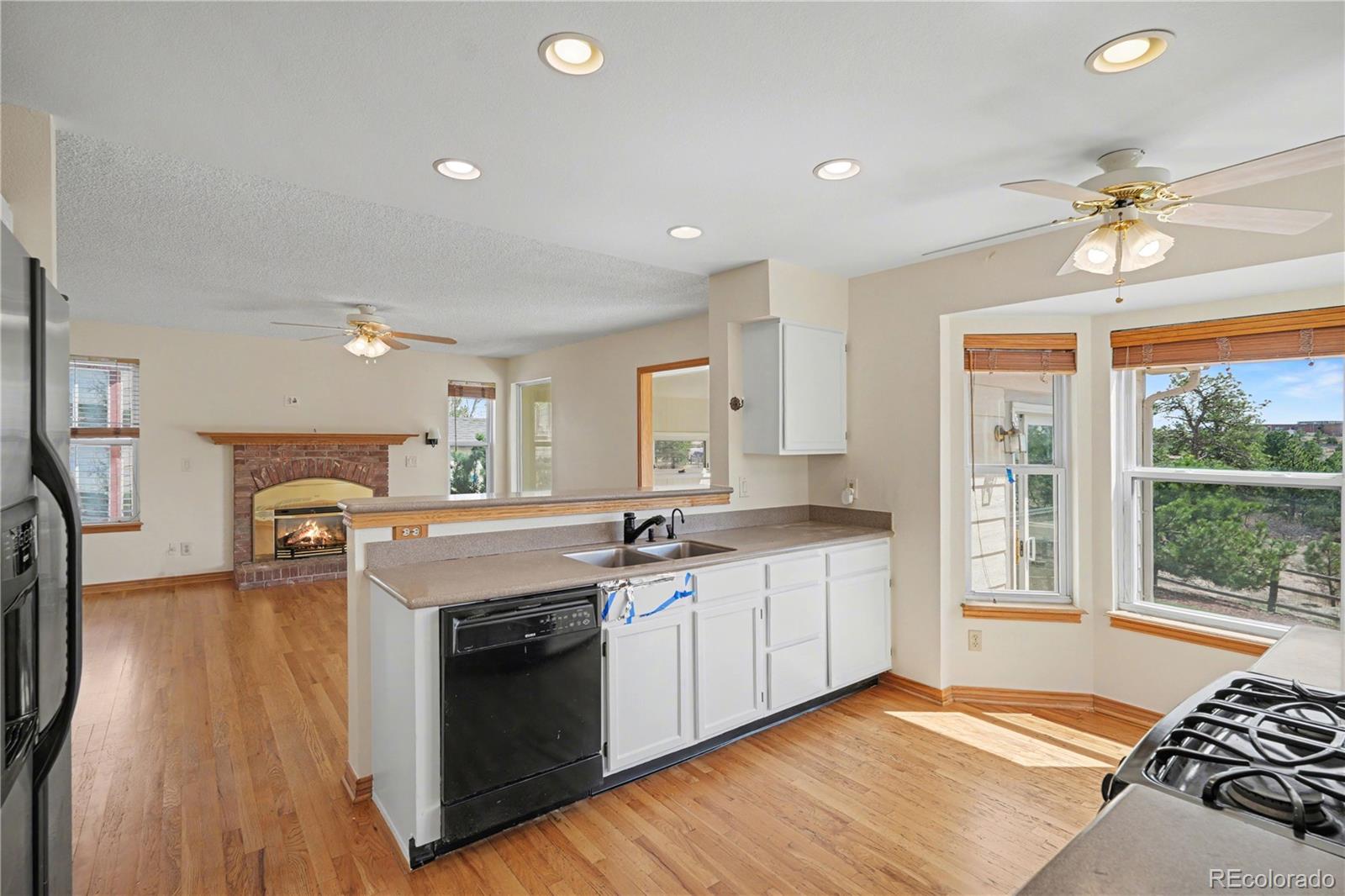 MLS Image #14 for 1010 n tabor drive,castle rock, Colorado