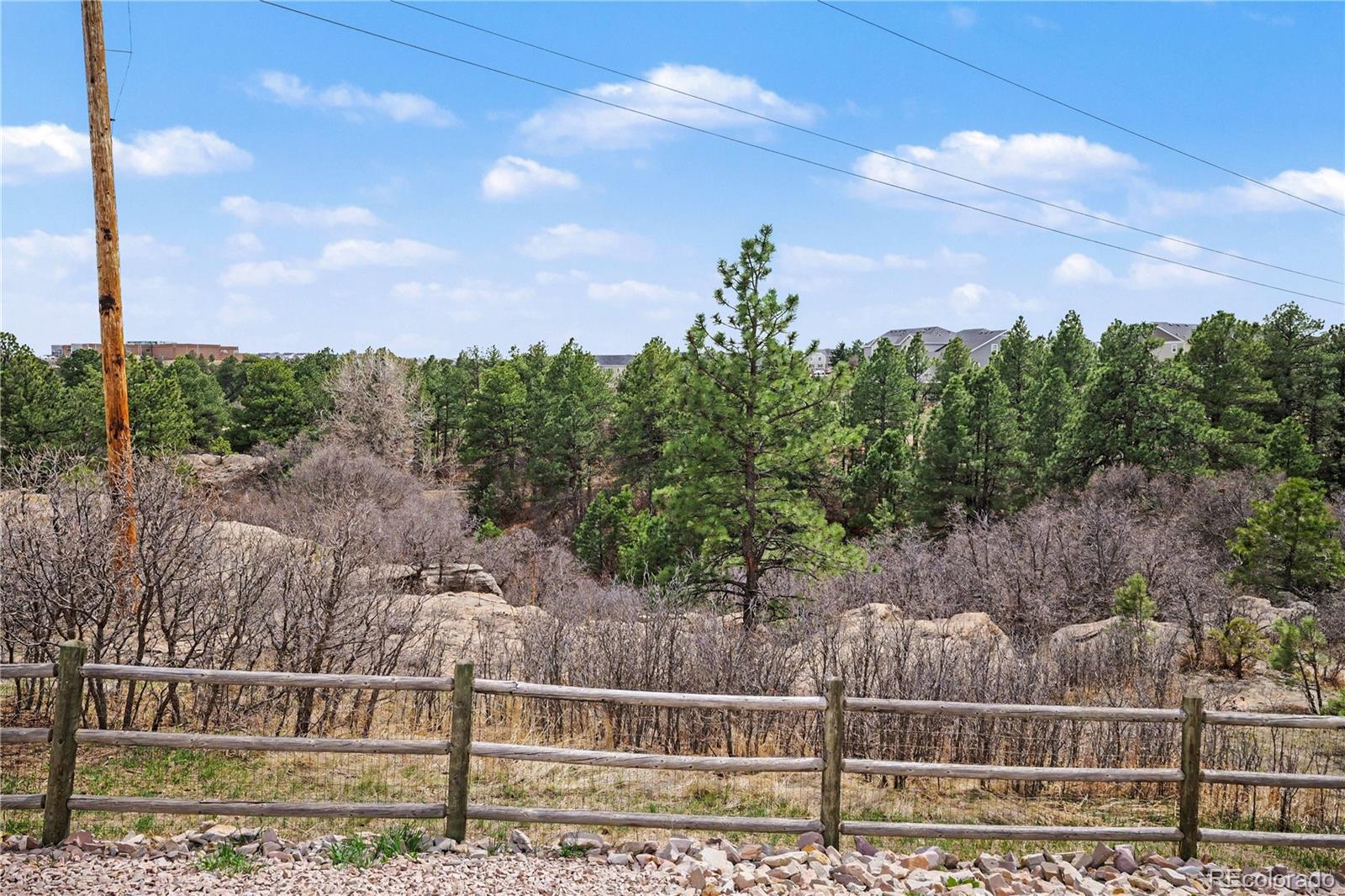 MLS Image #35 for 1010 n tabor drive,castle rock, Colorado