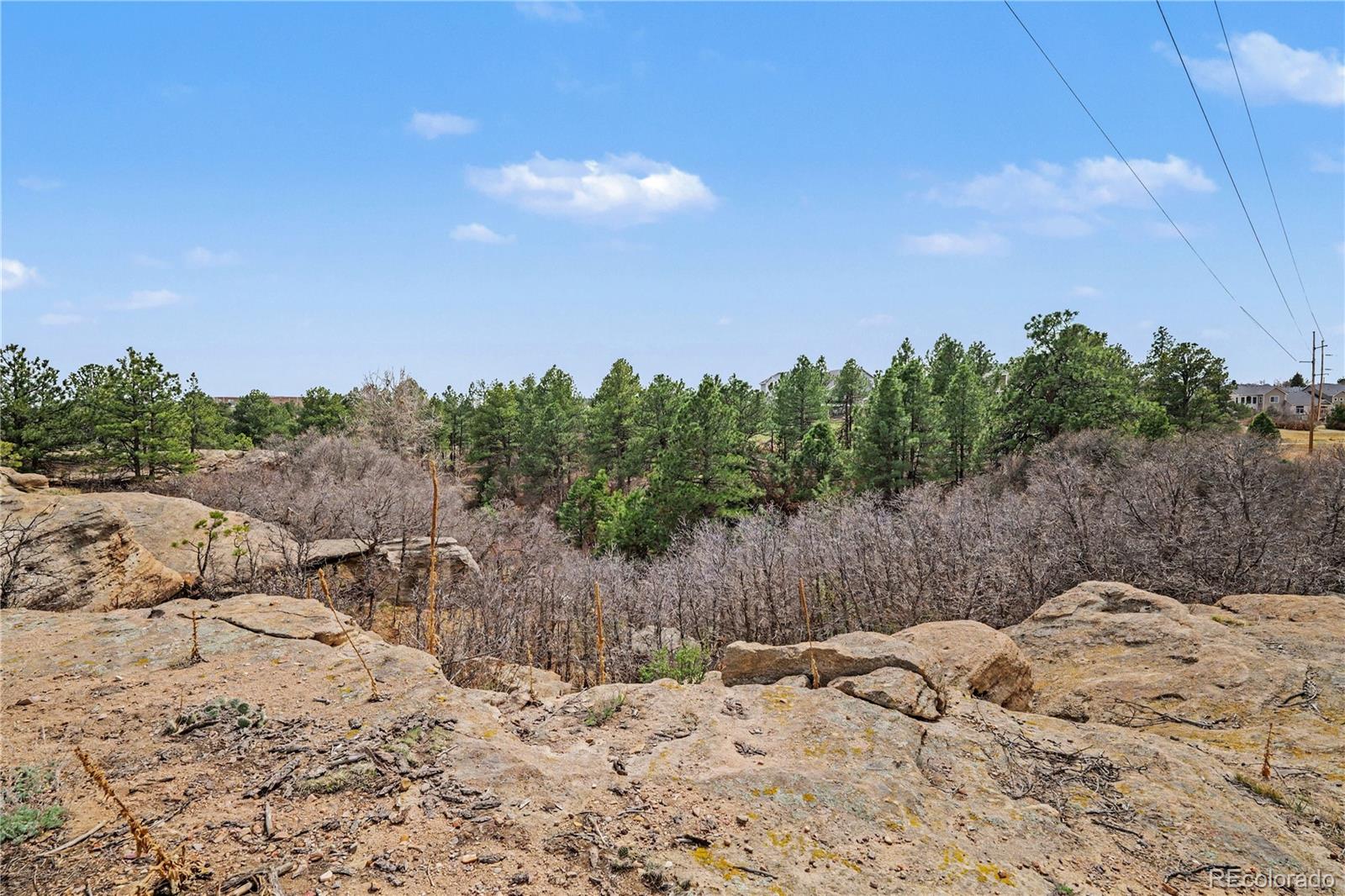 MLS Image #4 for 1010 n tabor drive,castle rock, Colorado