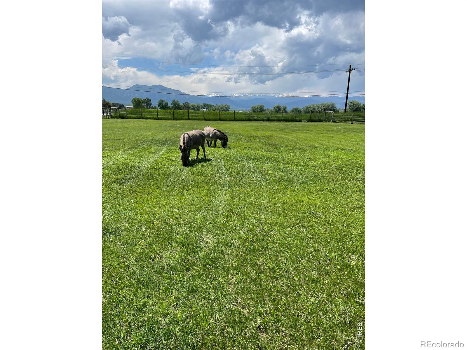 MLS Image #29 for 404  wewoka drive,boulder, Colorado