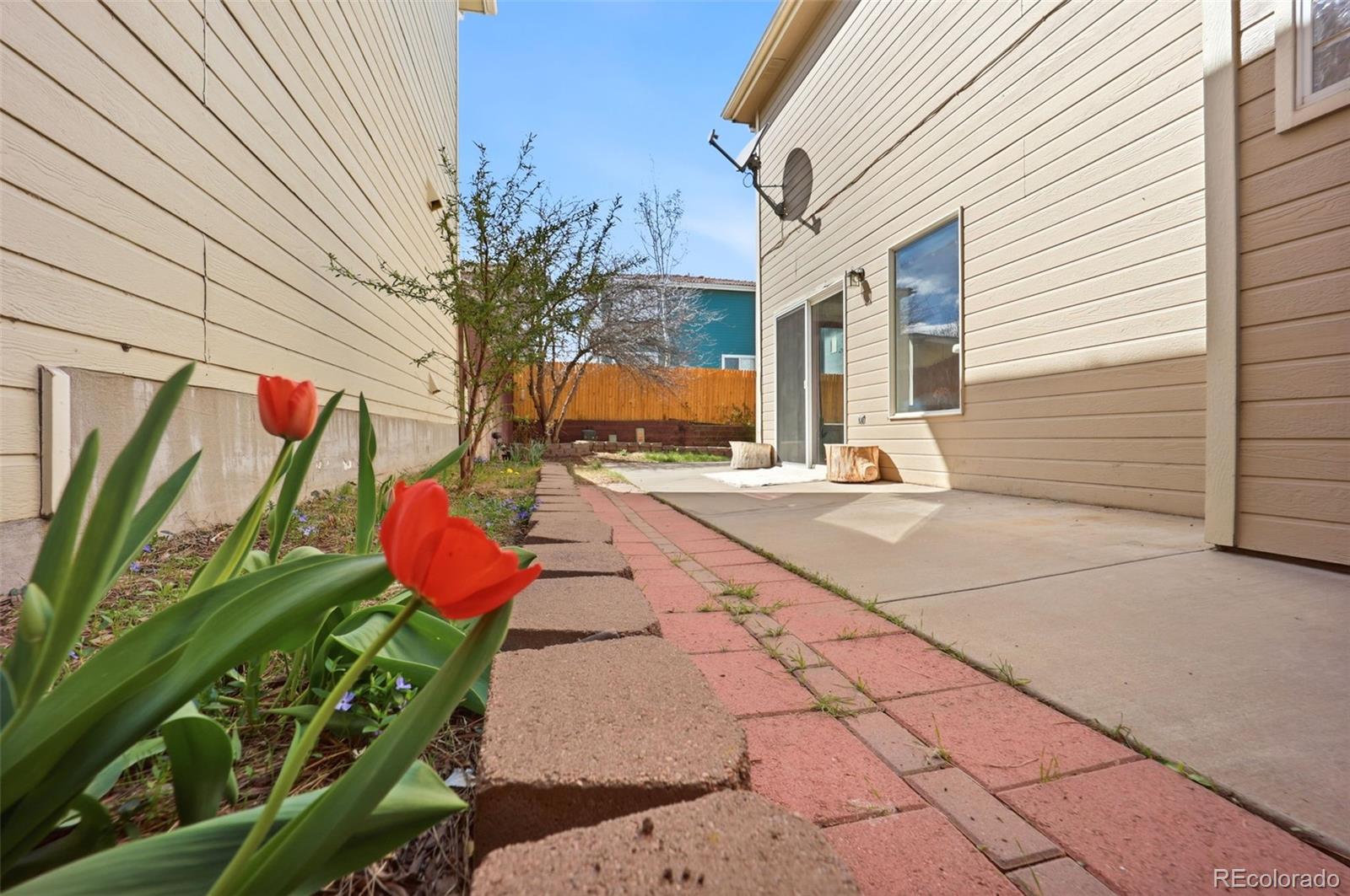 MLS Image #30 for 3875  perth street,denver, Colorado