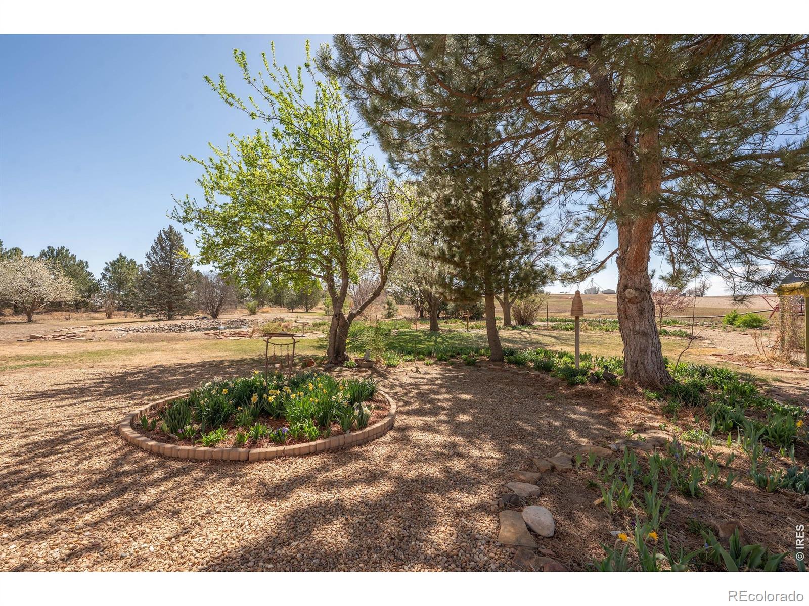 MLS Image #6 for 1558  county road 20 1/2 ,longmont, Colorado