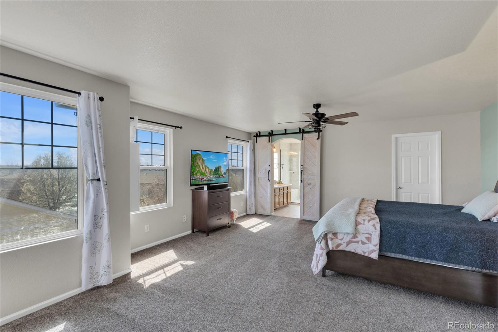 MLS Image #14 for 20420 e doane drive,aurora, Colorado