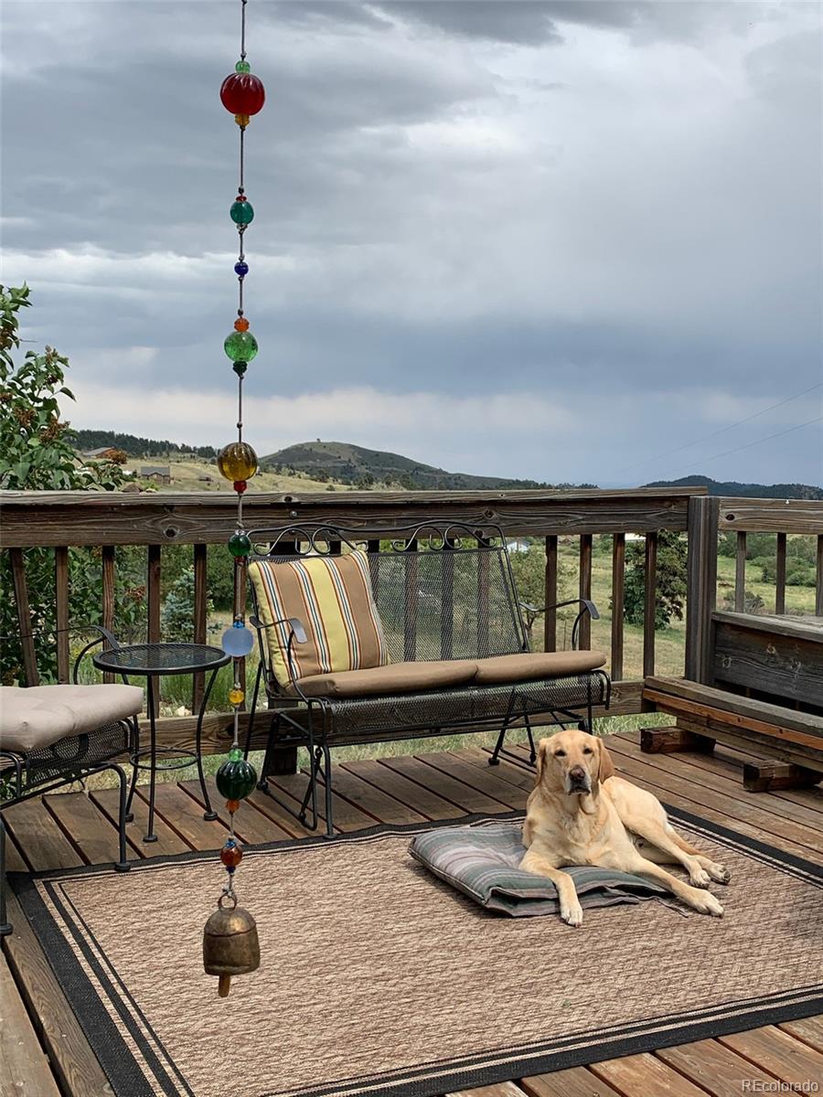 MLS Image #35 for 32110  robinson hill road,golden, Colorado