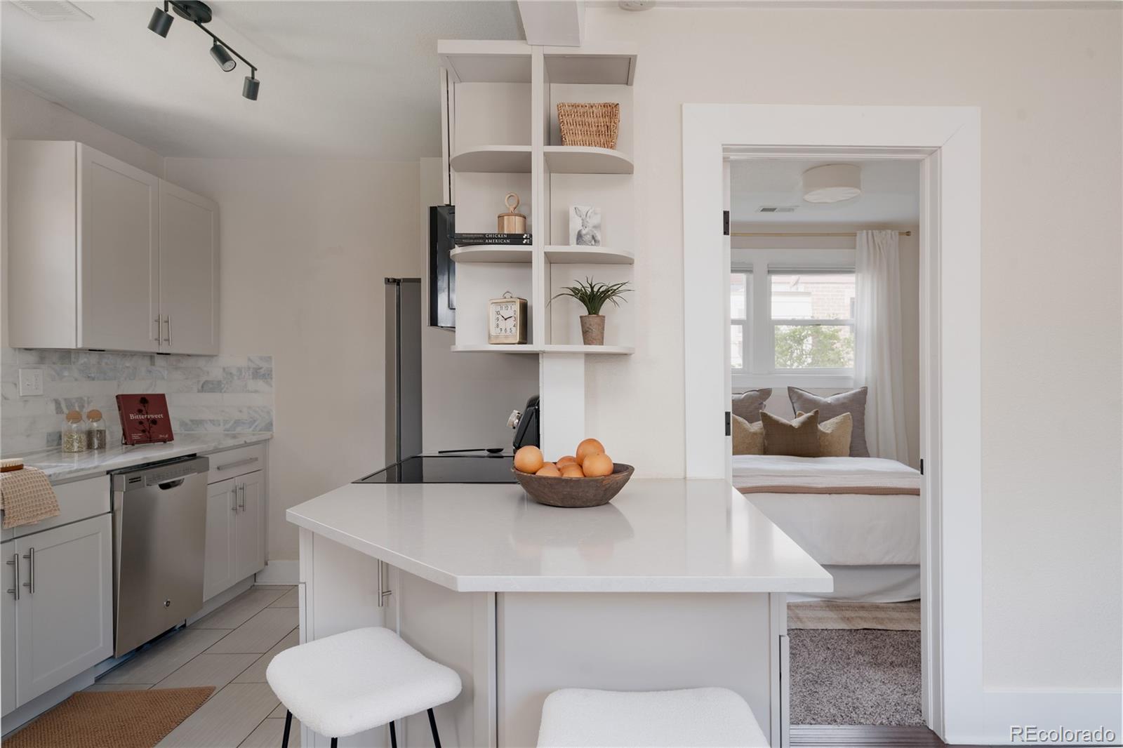 MLS Image #19 for 4315  decatur street,denver, Colorado