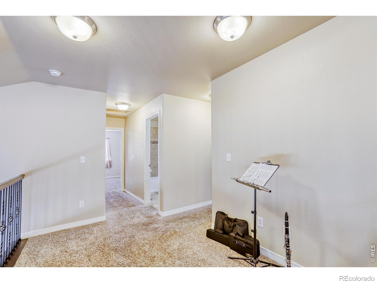 MLS Image #17 for 2731  bridle drive,mead, Colorado