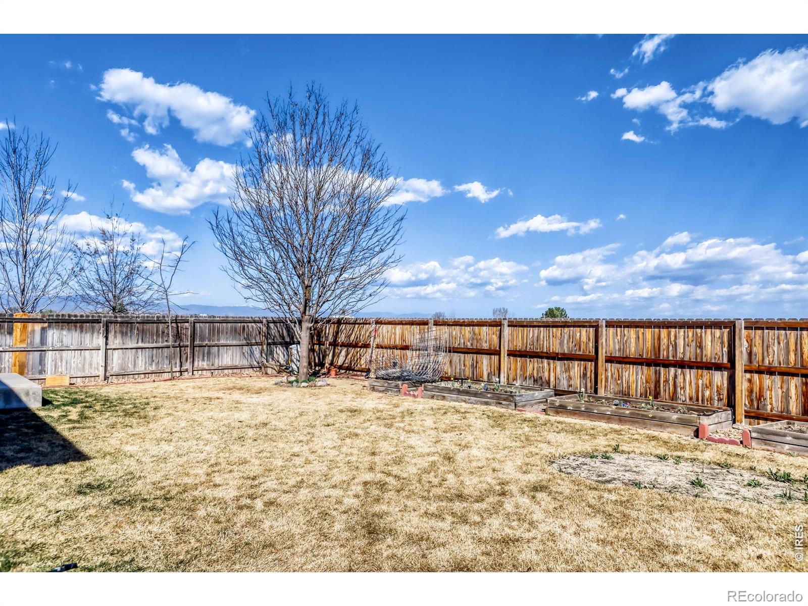 MLS Image #28 for 2731  bridle drive,mead, Colorado