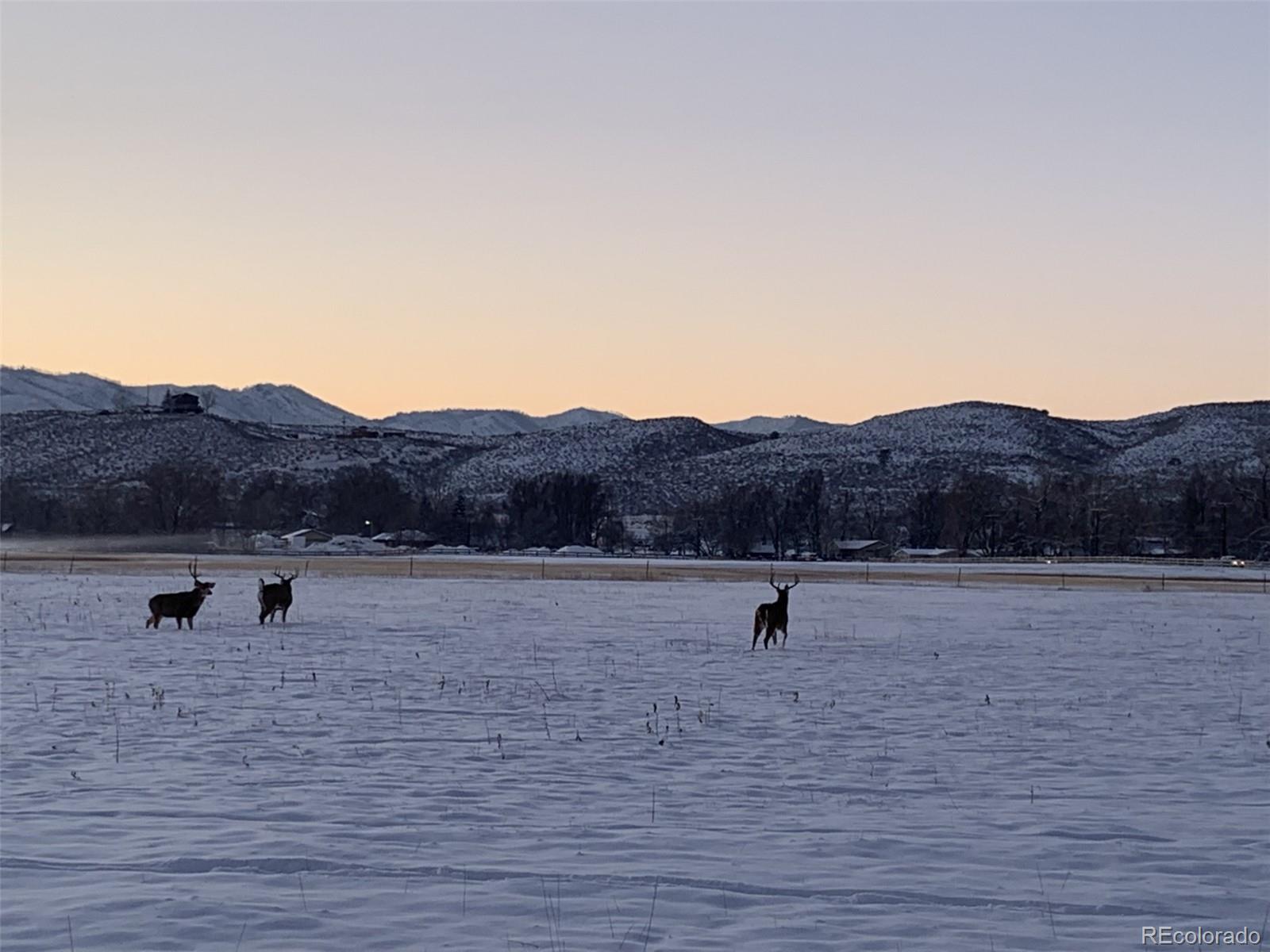 MLS Image #37 for 3501  galway drive,laporte, Colorado
