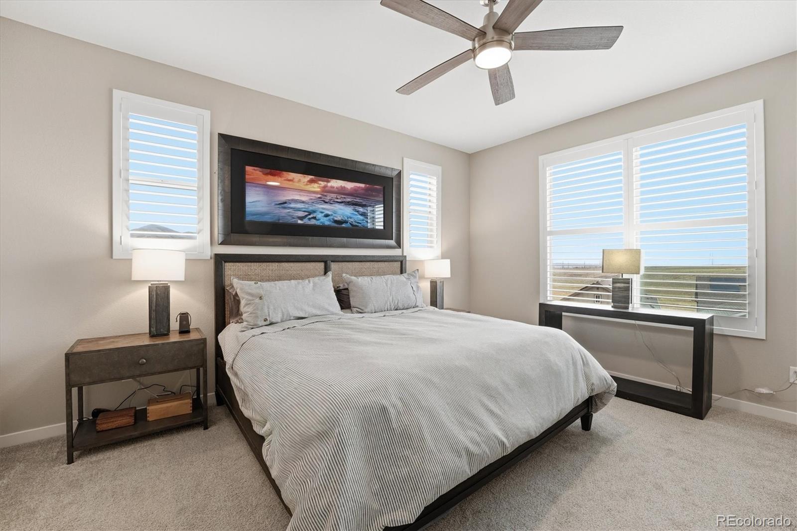 MLS Image #26 for 8393  mount kataka street,littleton, Colorado