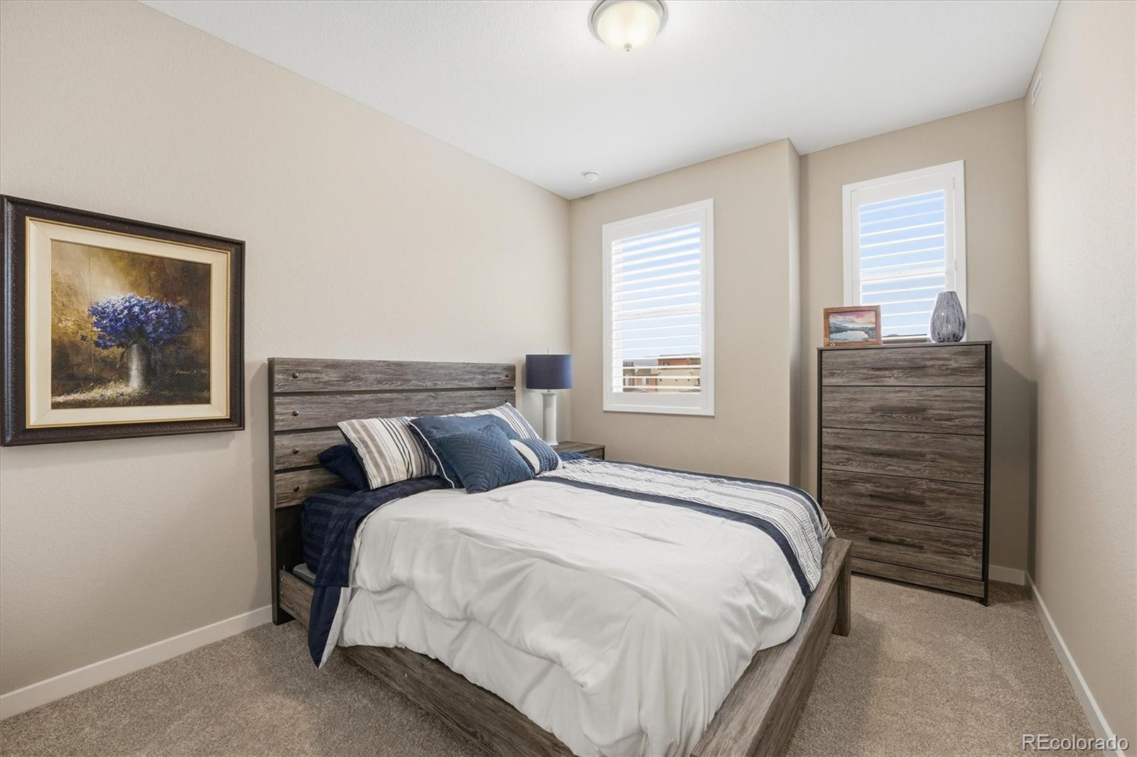 MLS Image #34 for 8393  mount kataka street,littleton, Colorado