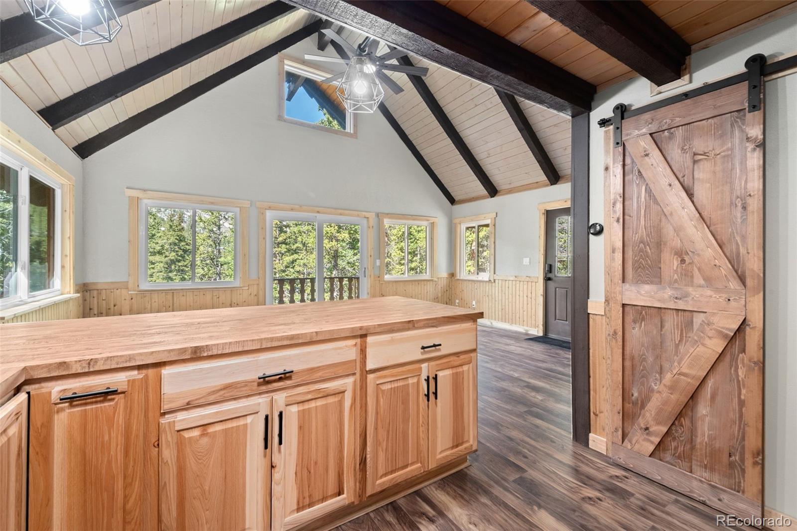 MLS Image #10 for 827  mine road,idaho springs, Colorado