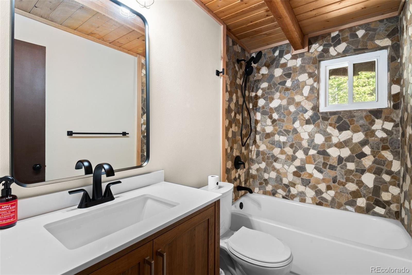 MLS Image #15 for 827  mine road,idaho springs, Colorado