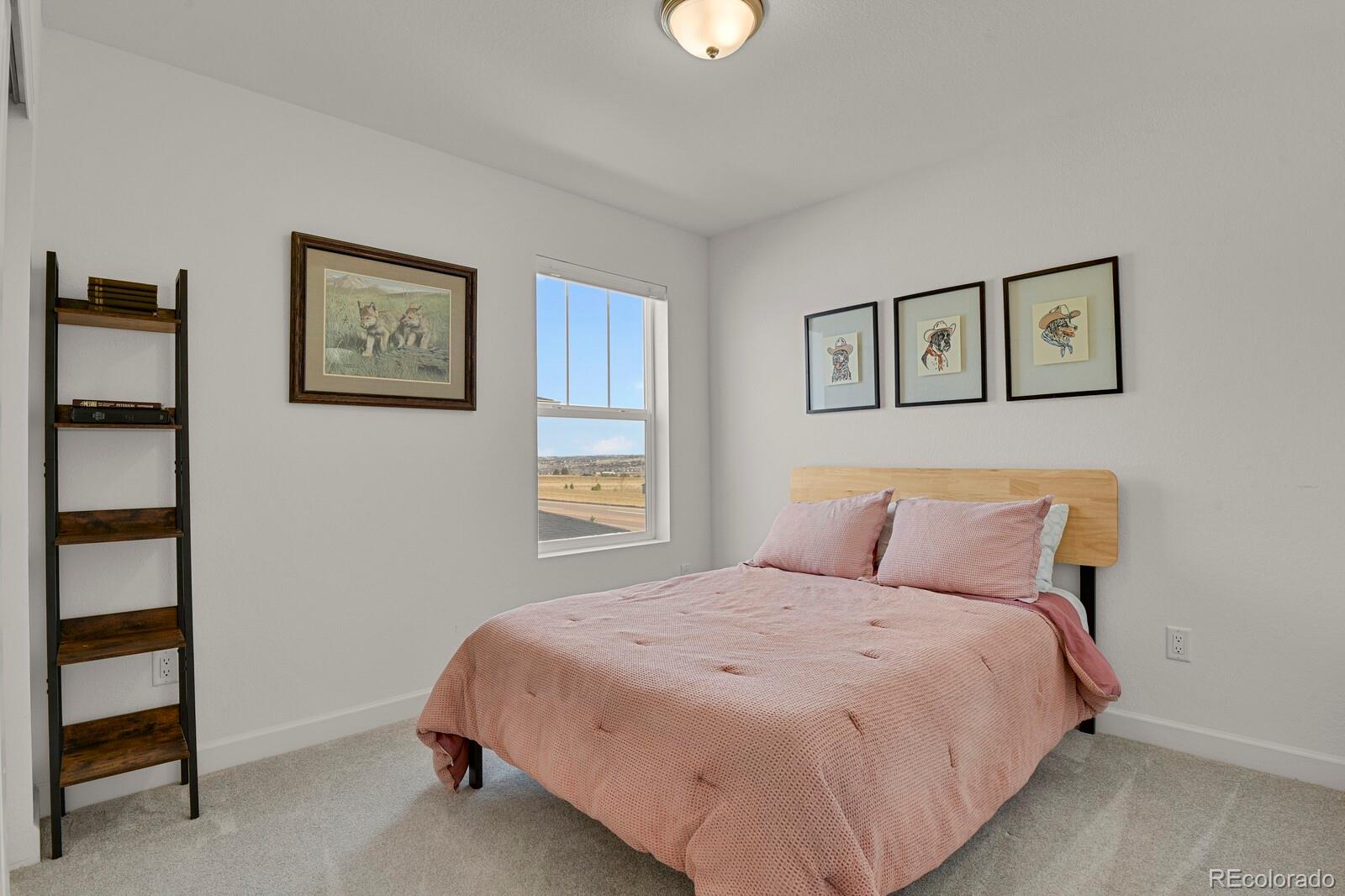 MLS Image #18 for 14118  red cosmos street,parker, Colorado