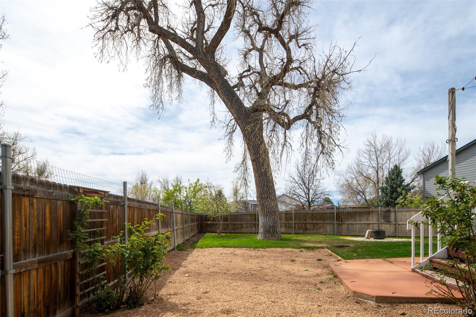 MLS Image #24 for 2613  fernwood place,broomfield, Colorado