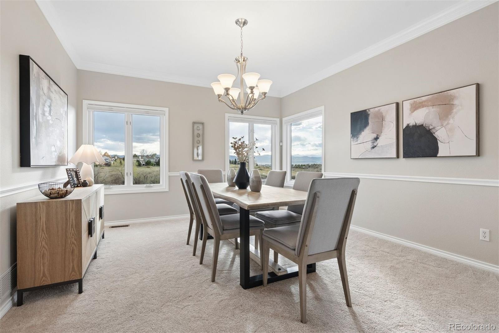 MLS Image #15 for 2384  terrace drive,highlands ranch, Colorado