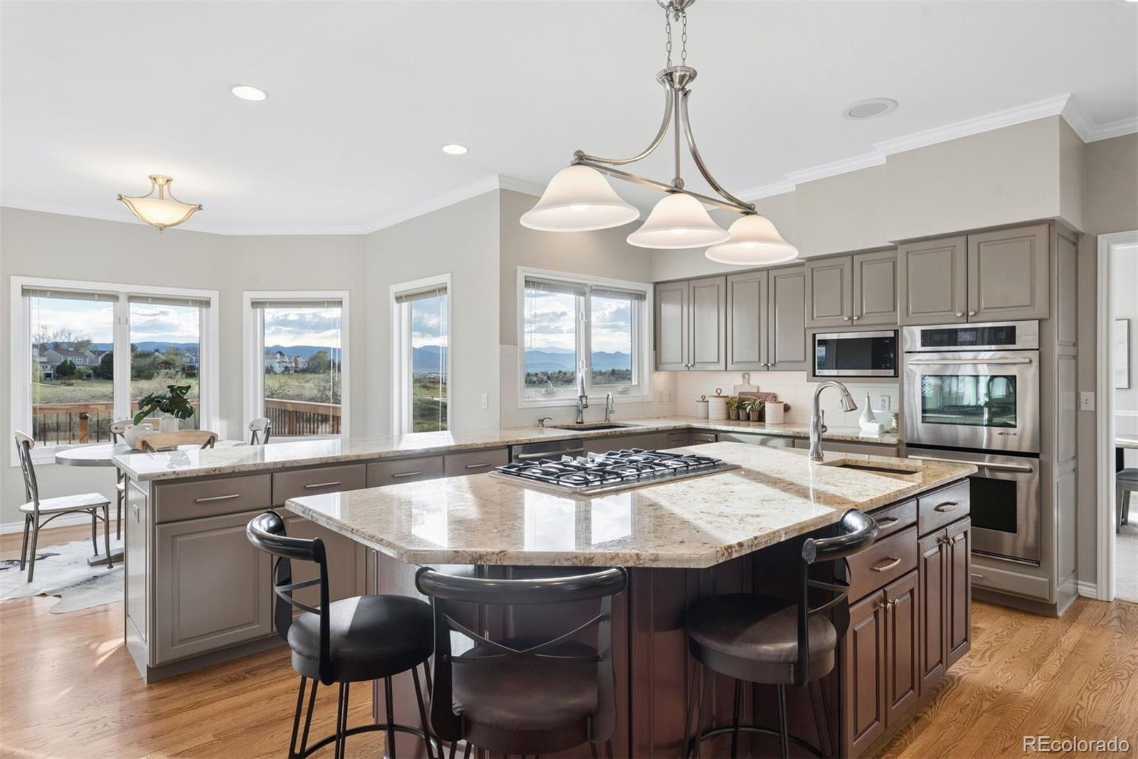 MLS Image #21 for 2384  terrace drive,highlands ranch, Colorado
