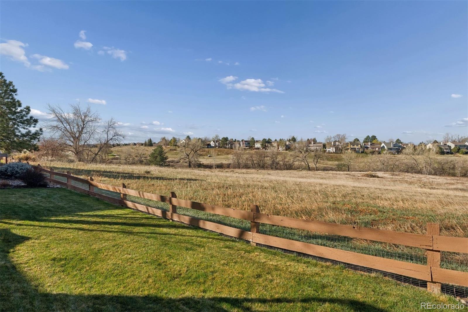 MLS Image #7 for 2384  terrace drive,highlands ranch, Colorado