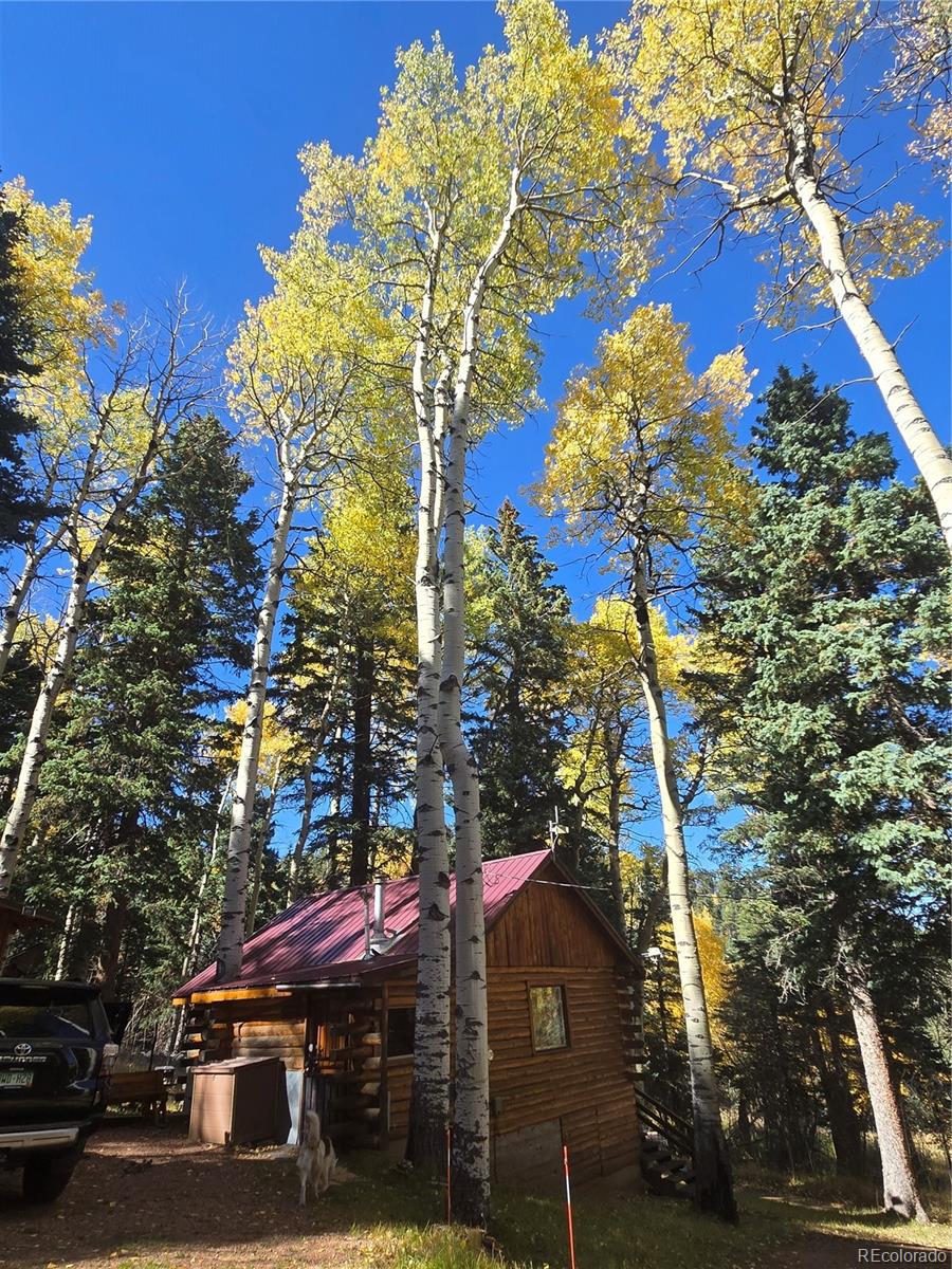 MLS Image #3 for 9626  state highway 165 ,rye, Colorado
