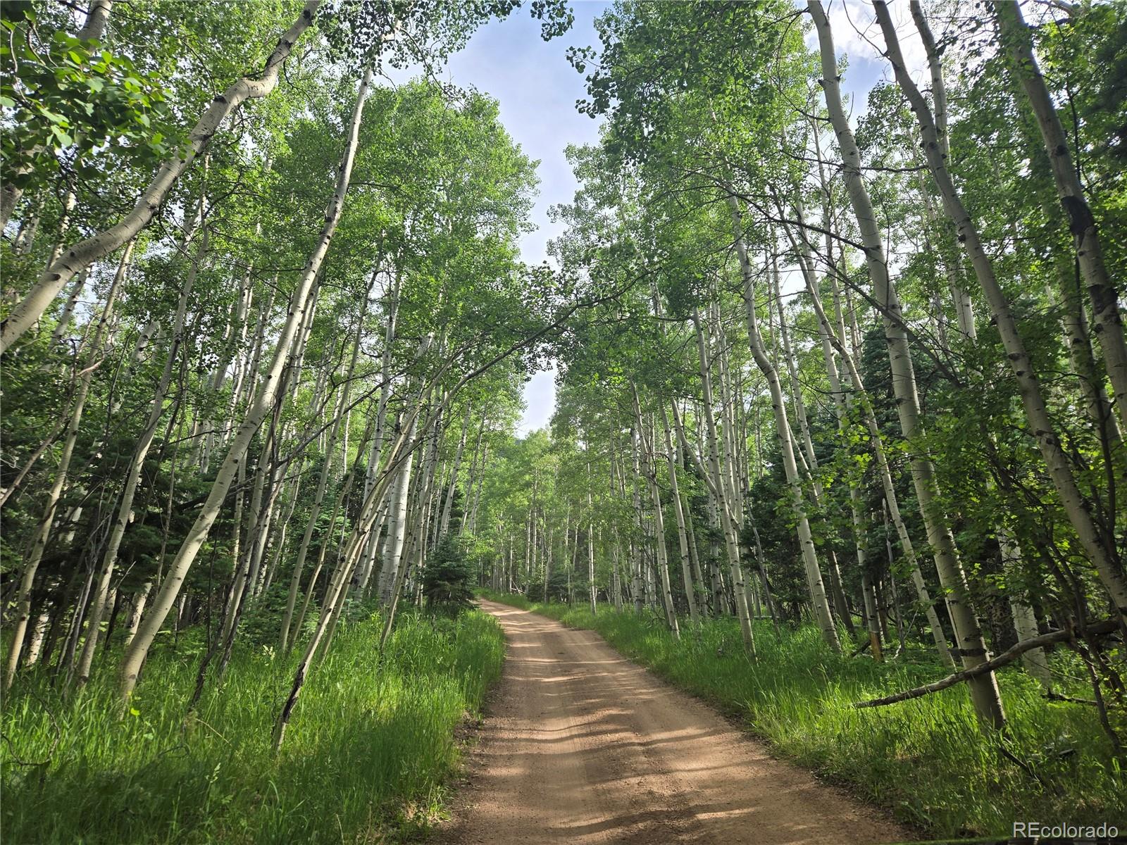 MLS Image #4 for 9626  state highway 165 ,rye, Colorado