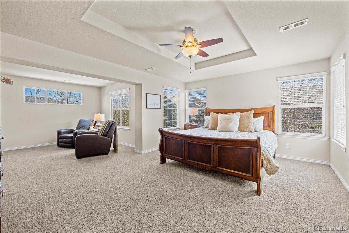 MLS Image #18 for 1109  zodo avenue,erie, Colorado