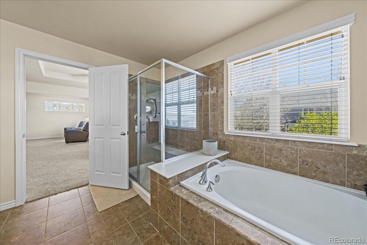 MLS Image #23 for 1109  zodo avenue,erie, Colorado