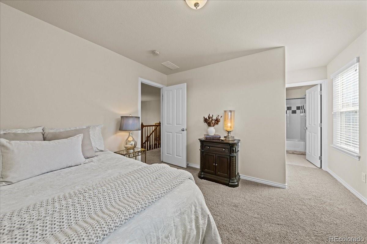 MLS Image #26 for 1109  zodo avenue,erie, Colorado