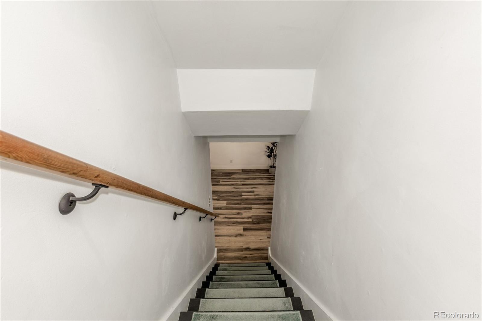 MLS Image #11 for 7240  avrum drive,denver, Colorado
